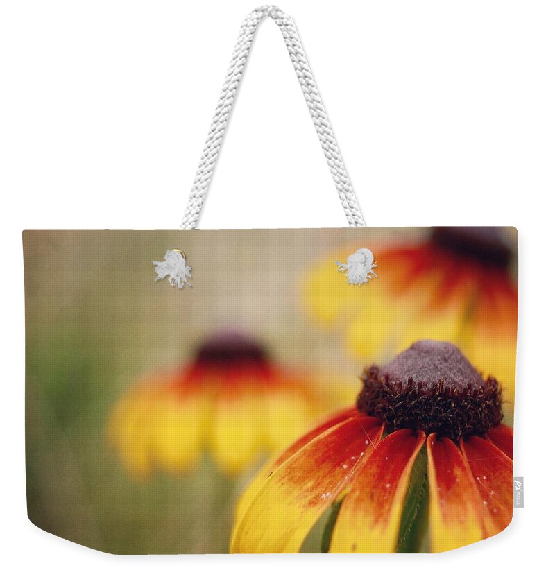 Wildflowers Weekender Tote Bag featuring the photograph Wildfire Wildflowers by Holly Ross
