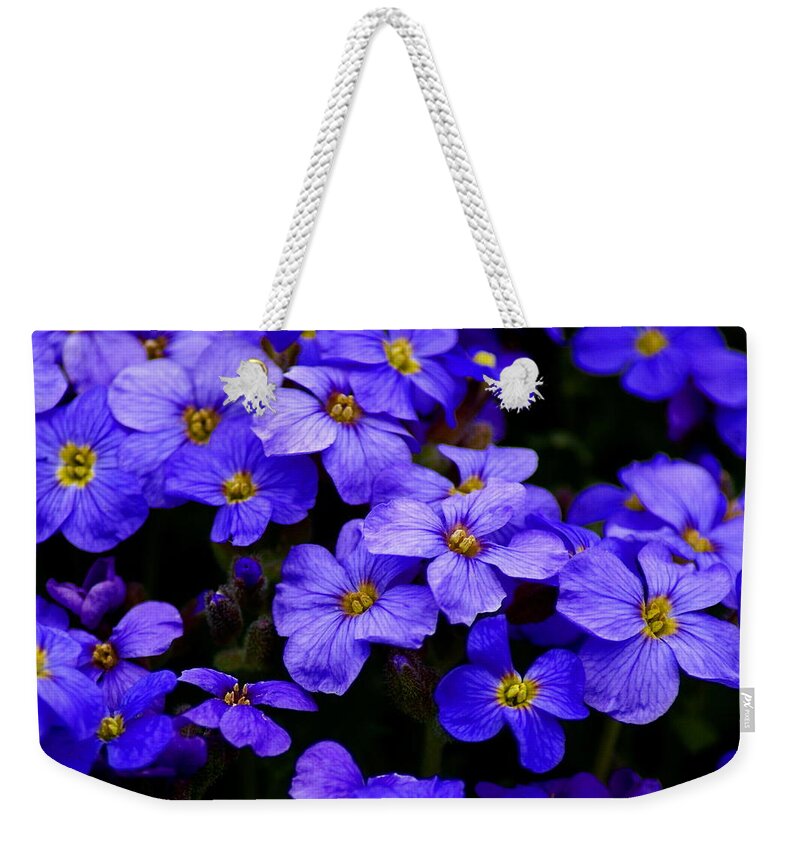 Flowers Weekender Tote Bag featuring the photograph Wildflower Blues by Ben Upham III