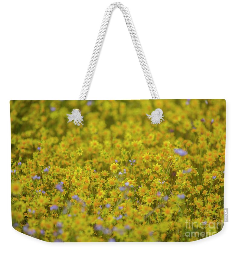 Photography Weekender Tote Bag featuring the photograph Wildflower Superbloom 4 by Daniel Knighton