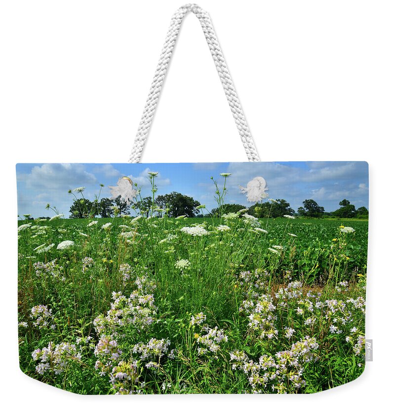 Mchenry County Weekender Tote Bag featuring the photograph Wildflowers Along Country Road in McHenry County by Ray Mathis