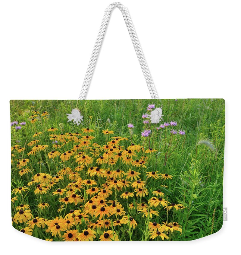 Glacial Park Weekender Tote Bag featuring the photograph Wildflowers of West Glacial Park at Sunrise by Ray Mathis