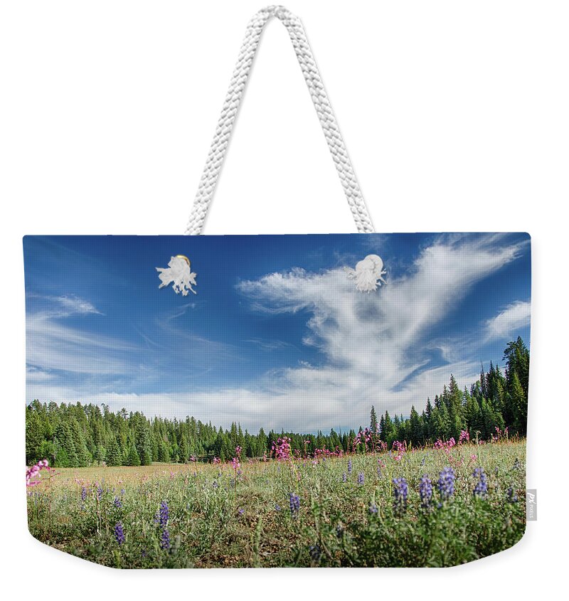 Wildflowers Weekender Tote Bag featuring the photograph Wildflowers reach for the sky by Gaelyn Olmsted
