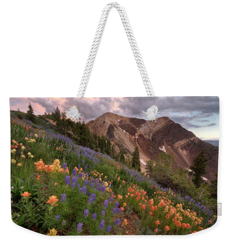 Landscape Weekender Tote Bag featuring the photograph Wildflowers with Twin Peaks at Sunset by Brett Pelletier