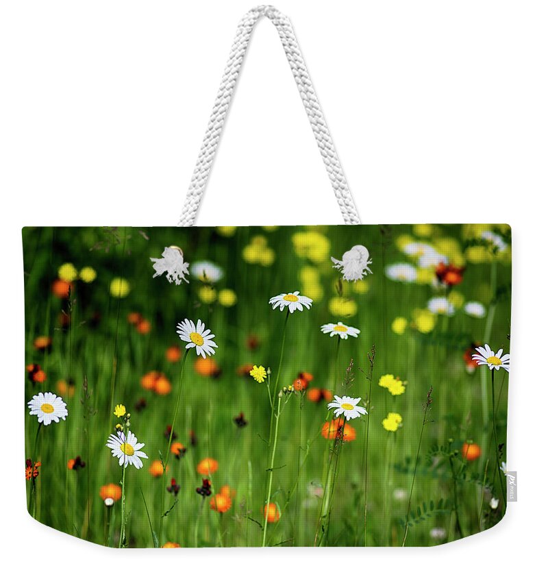  Weekender Tote Bag featuring the photograph Wildflowers2 by Dan Hefle