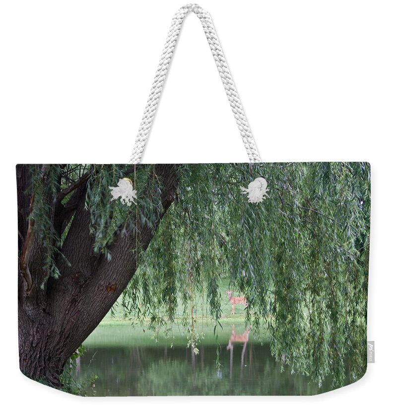 Dylan Punke Weekender Tote Bag featuring the photograph Willow Deer by Dylan Punke