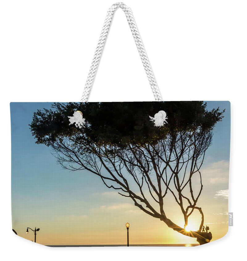 California Weekender Tote Bag featuring the photograph Wind Blown Tree by Ed Clark