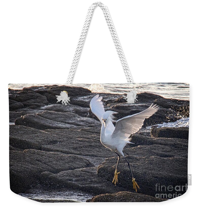 Birds Weekender Tote Bag featuring the photograph Wind Dancer by Bob Hislop