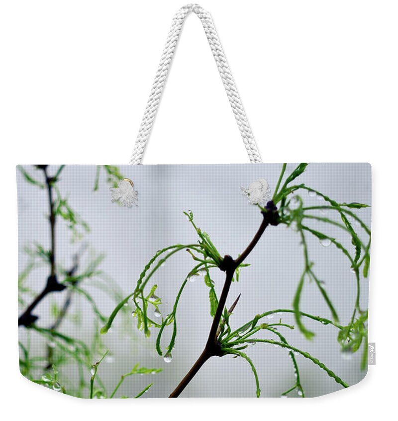 Windmill Weekender Tote Bag featuring the photograph Windmill in the Mist by Adam Reinhart
