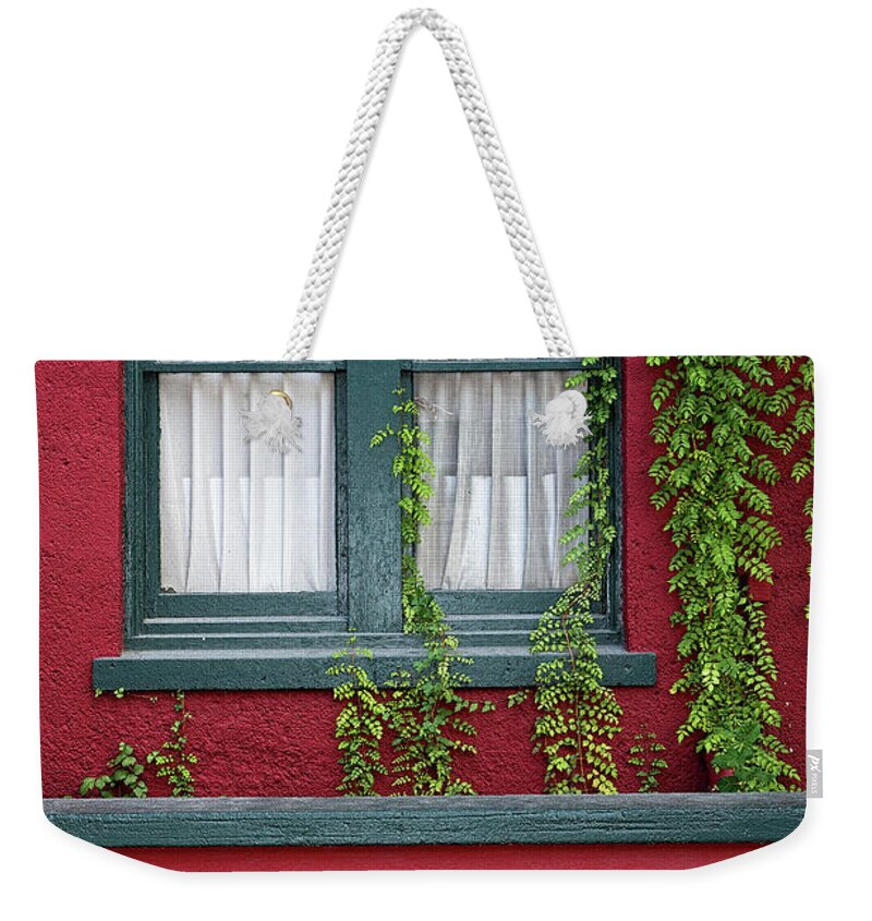 Window Weekender Tote Bag featuring the photograph Window and VInes by Christopher Holmes