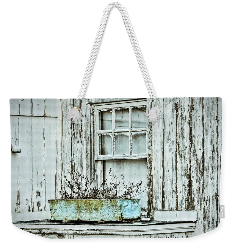 House Weekender Tote Bag featuring the photograph Window Garden by Cathy Kovarik