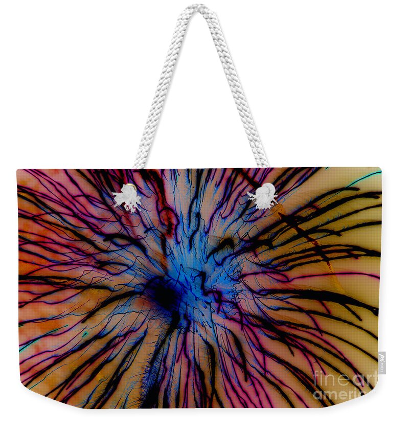 Firework Weekender Tote Bag featuring the photograph Window Of My Soul by Leah McPhail