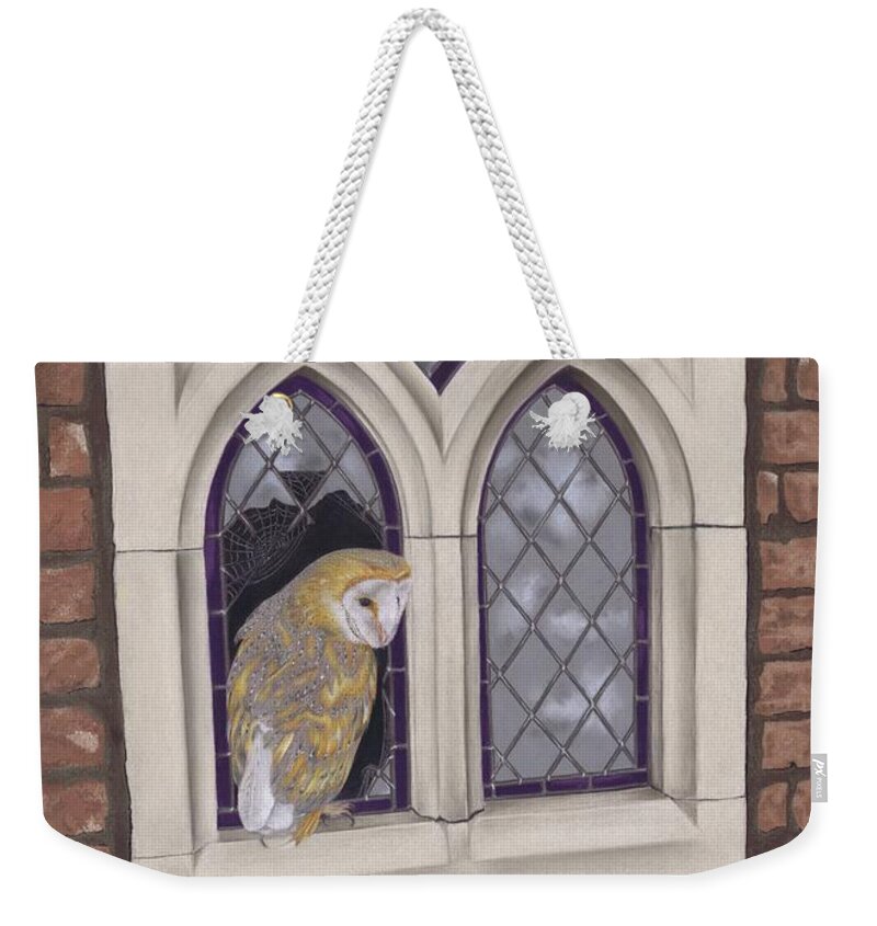 Owl Weekender Tote Bag featuring the painting Window Shopping by Karie-ann Cooper