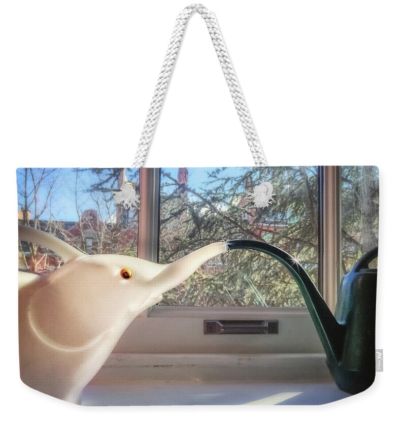 Back Bay Weekender Tote Bag featuring the photograph Windowsill Rendezvous by Sylvia J Zarco