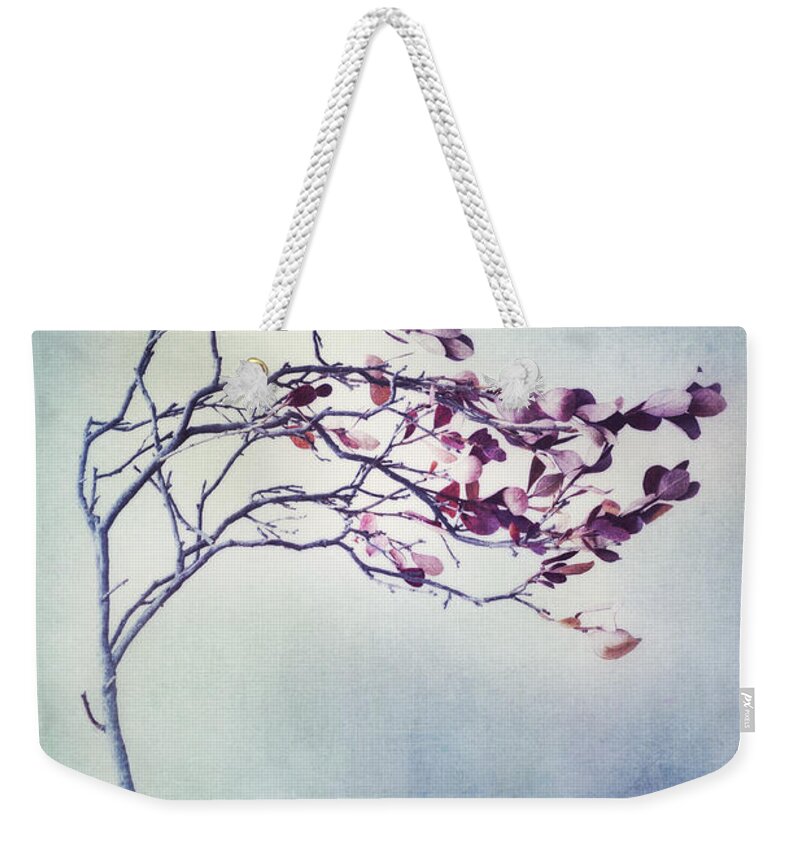 Blueberry Branch Weekender Tote Bag featuring the photograph Windswept by Priska Wettstein
