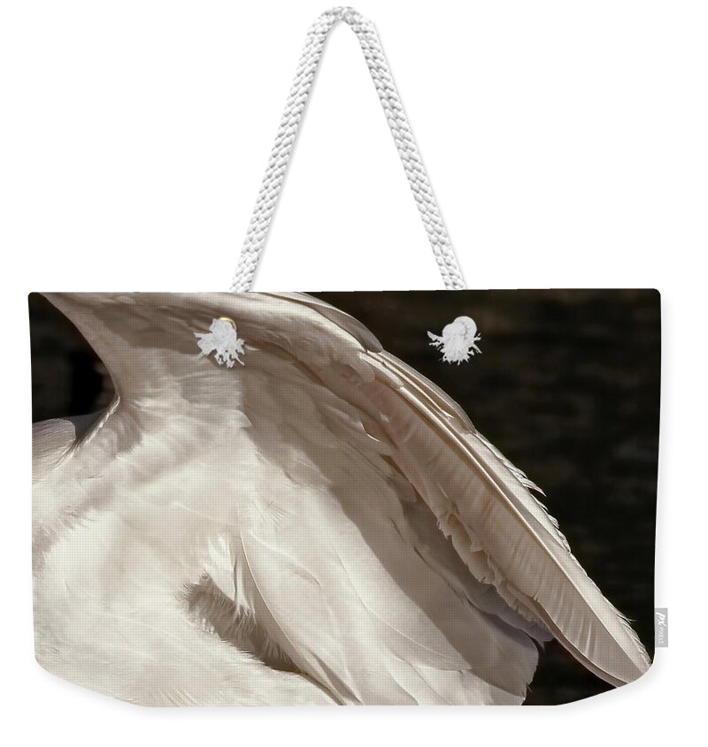 Wing Weekender Tote Bag featuring the photograph Wing of an Egret by Jennie Marie Schell