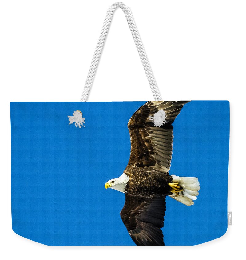 Eagle Weekender Tote Bag featuring the photograph Winging Home for Dinner by John Roach