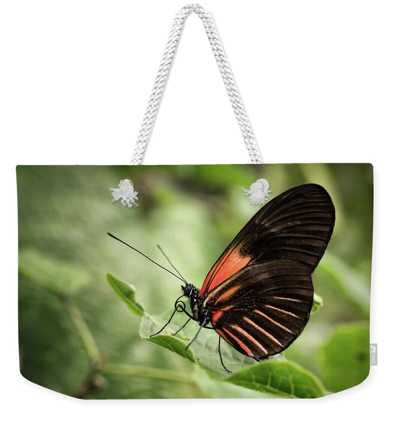 Fairchild Tropical Gardens Weekender Tote Bag featuring the photograph Wings of the Tropics Butterfly by Louise Lindsay