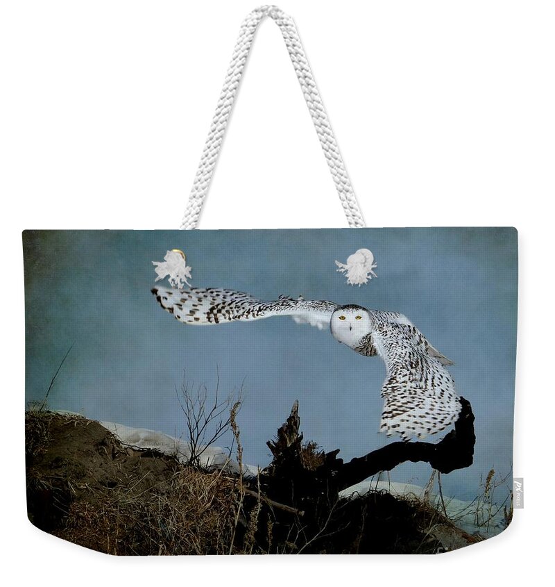 Wildlife Photography Weekender Tote Bag featuring the photograph Wings of Winter by Heather King