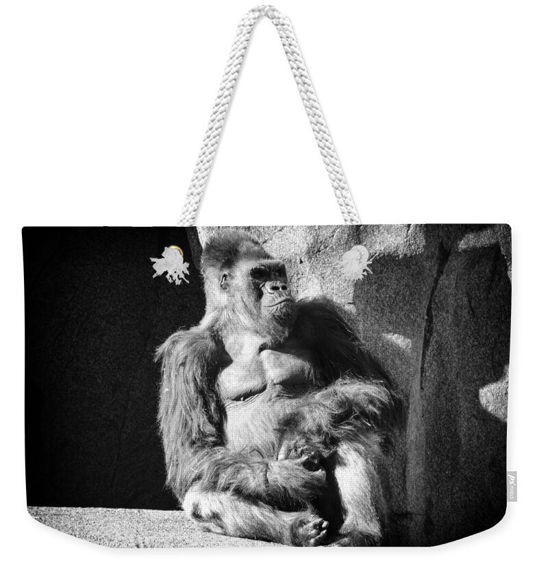 Silverback Gorilla Weekender Tote Bag featuring the photograph Winston by Lawrence Knutsson
