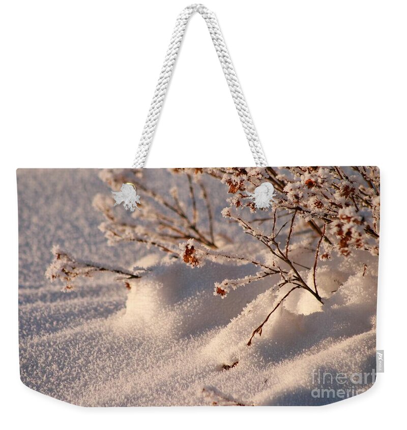 Plant Weekender Tote Bag featuring the photograph Winter Blanket by Rick Monyahan