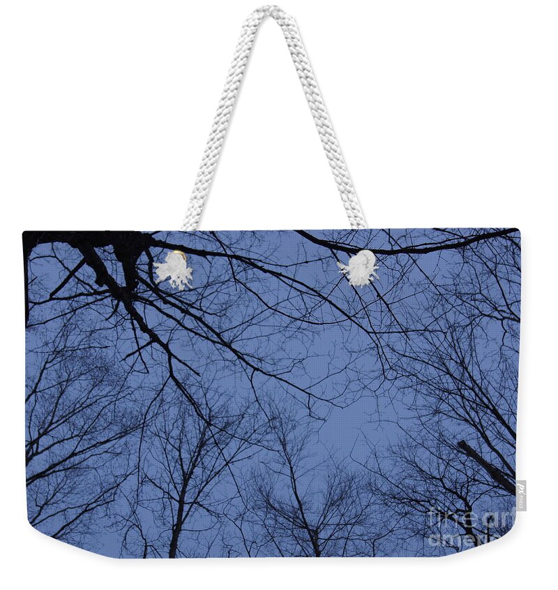  Line Gagne Weekender Tote Bag featuring the photograph Winter Blue Sky by Line Gagne