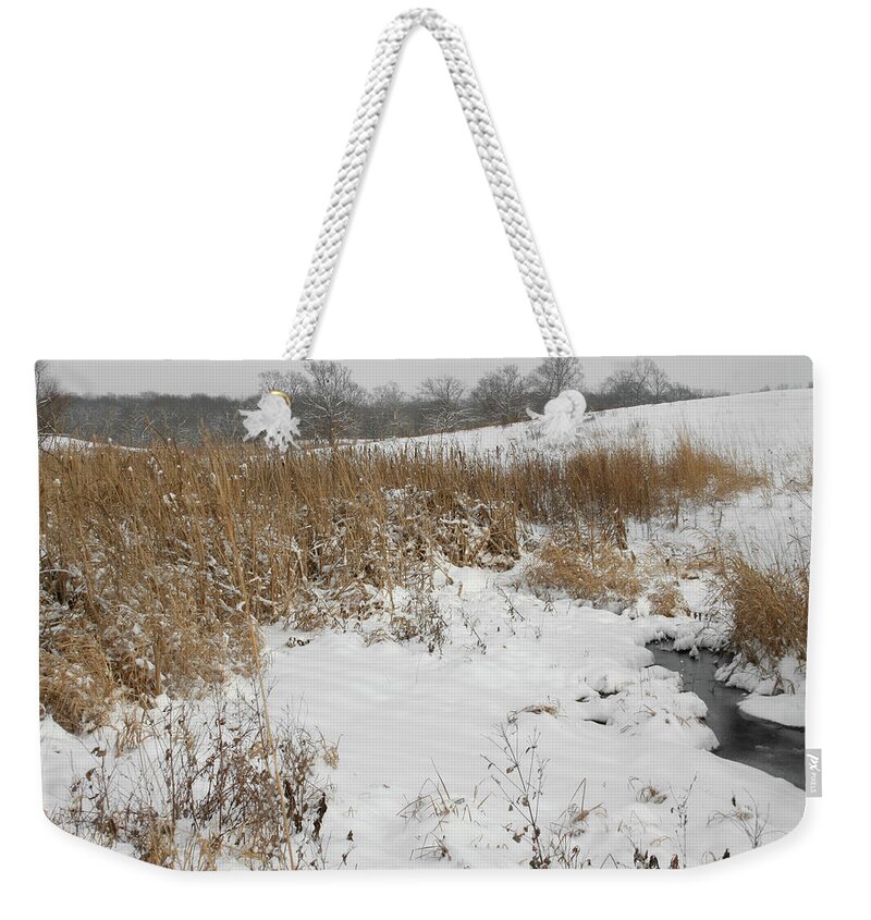 Color Desaturation Weekender Tote Bag featuring the photograph Winter Clearing by Dylan Punke