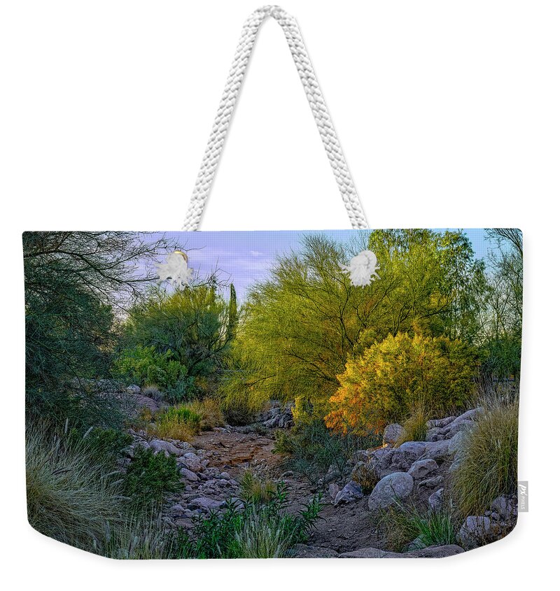 Landscape Weekender Tote Bag featuring the photograph Winter Down The Wash h1810 by Mark Myhaver