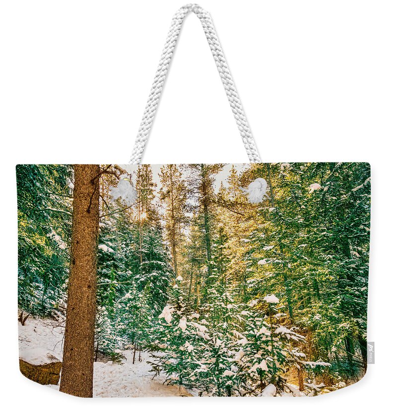 Winter Weekender Tote Bag featuring the photograph Winter Forest Golden Light by James BO Insogna