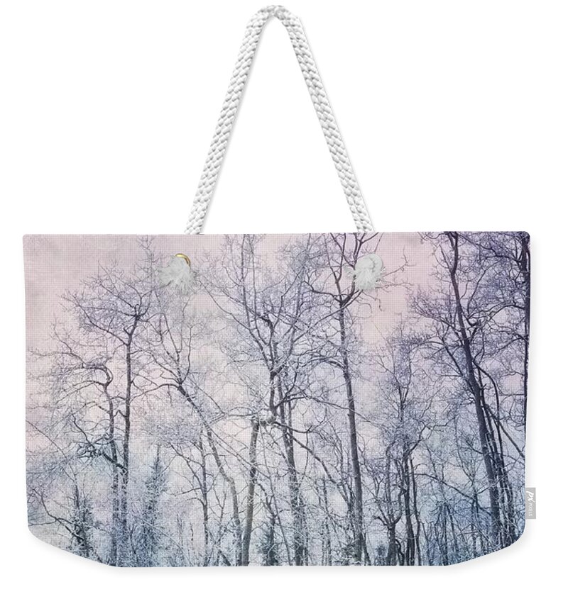 Forest Weekender Tote Bag featuring the photograph Winter Forest by Priska Wettstein