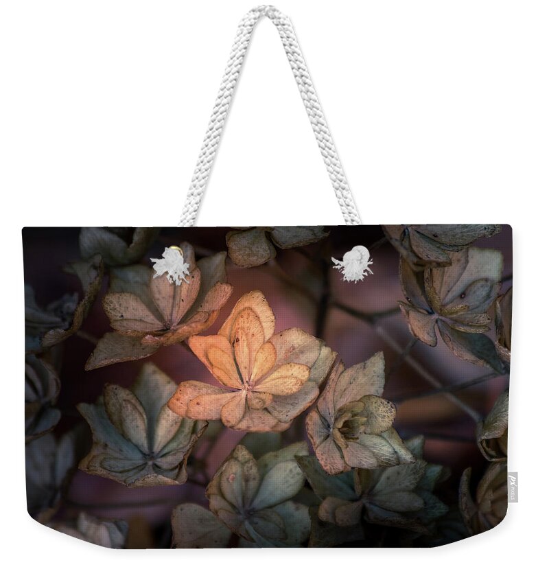 Flower Weekender Tote Bag featuring the photograph Winter Glow by Allin Sorenson
