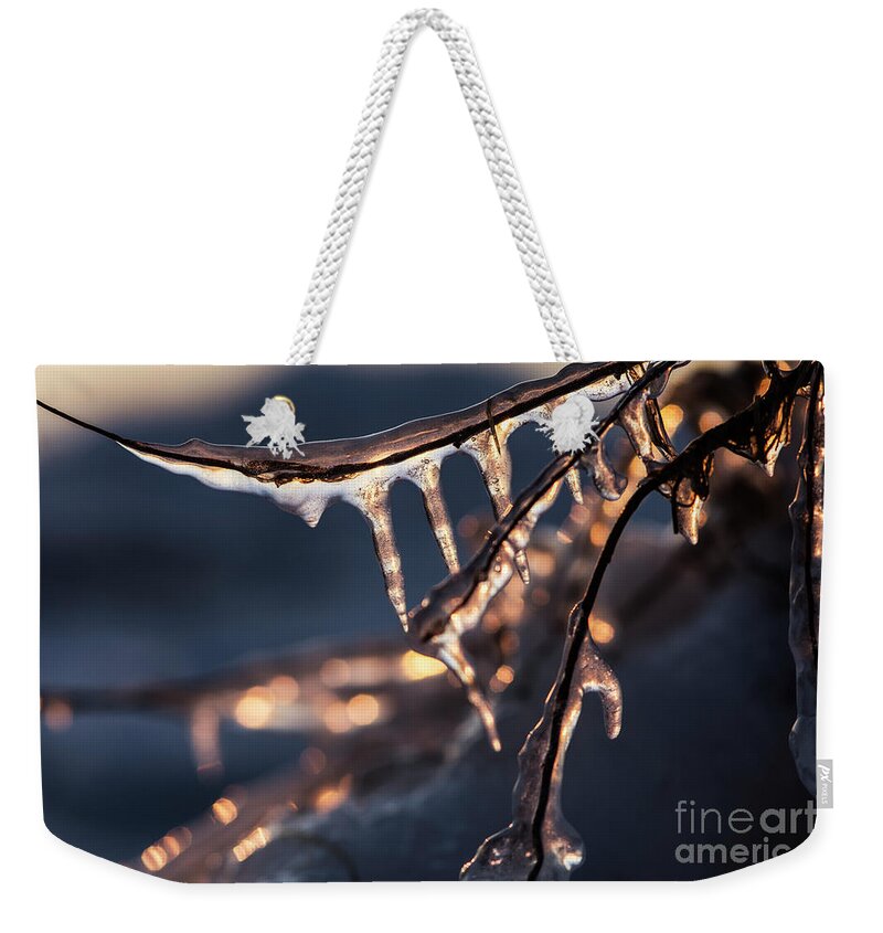 Icicles Weekender Tote Bag featuring the photograph Winter Ice by JT Lewis