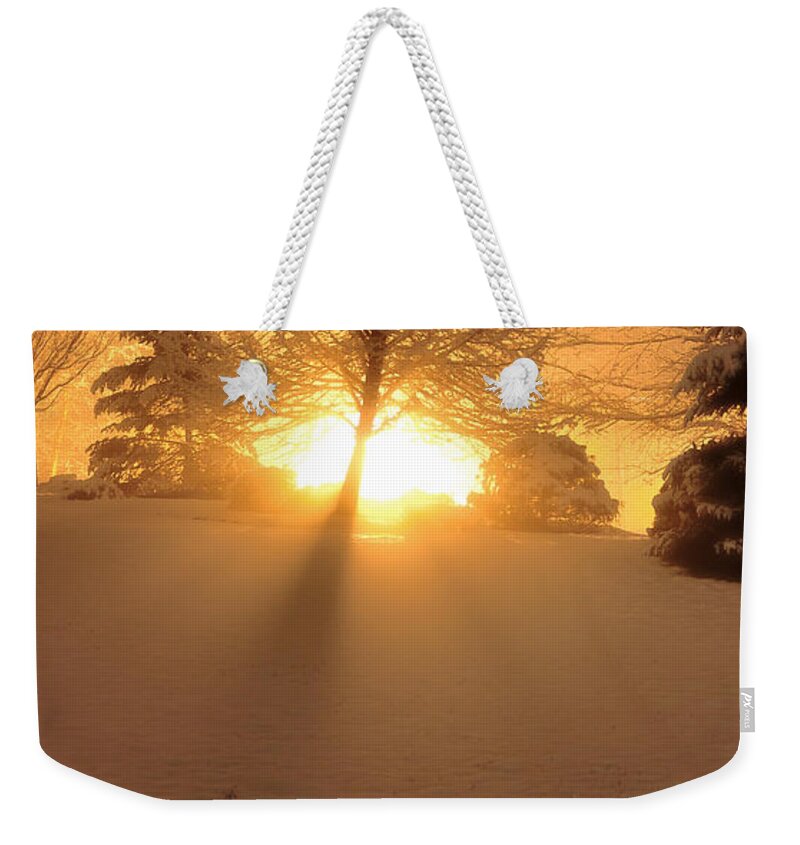 Light Weekender Tote Bag featuring the photograph Winter Light by Brian Fisher