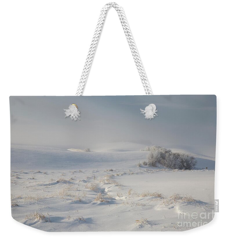 Idaho Weekender Tote Bag featuring the photograph Winter Light on the Palouse by Idaho Scenic Images Linda Lantzy