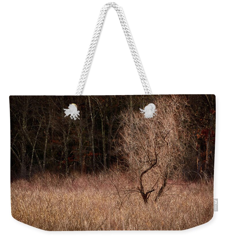 Landscape Weekender Tote Bag featuring the photograph Winter Light by Robert Mitchell