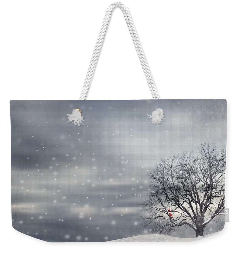 Four Seasons Weekender Tote Bag featuring the photograph Winter by Lourry Legarde