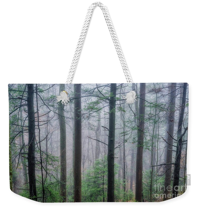 Fog Weekender Tote Bag featuring the photograph Winter Mist in the Woods by Thomas R Fletcher