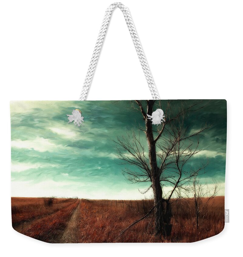 Trail Weekender Tote Bag featuring the photograph Winter Morning Trail by Anna Louise