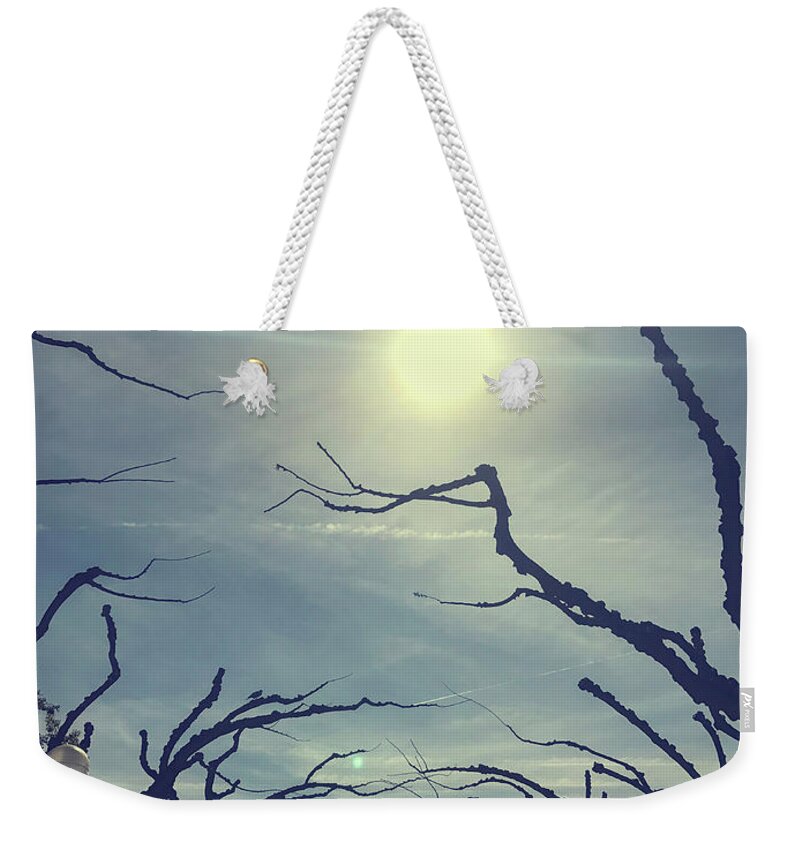 Amazing Weekender Tote Bag featuring the photograph Winter park by Patricia Hofmeester