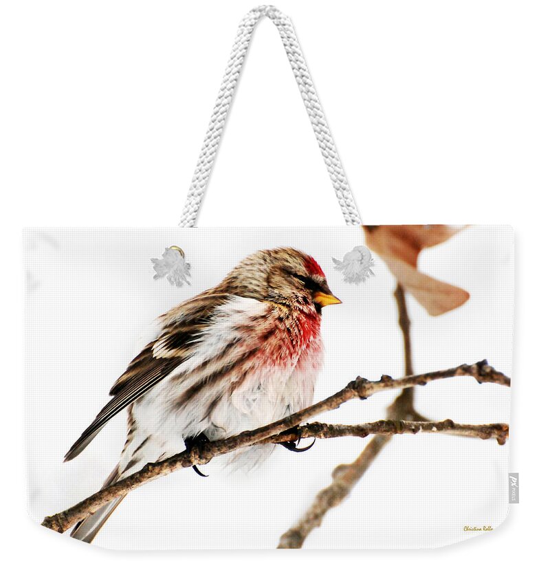 Winter Weekender Tote Bag featuring the photograph Winter Redpoll by Christina Rollo