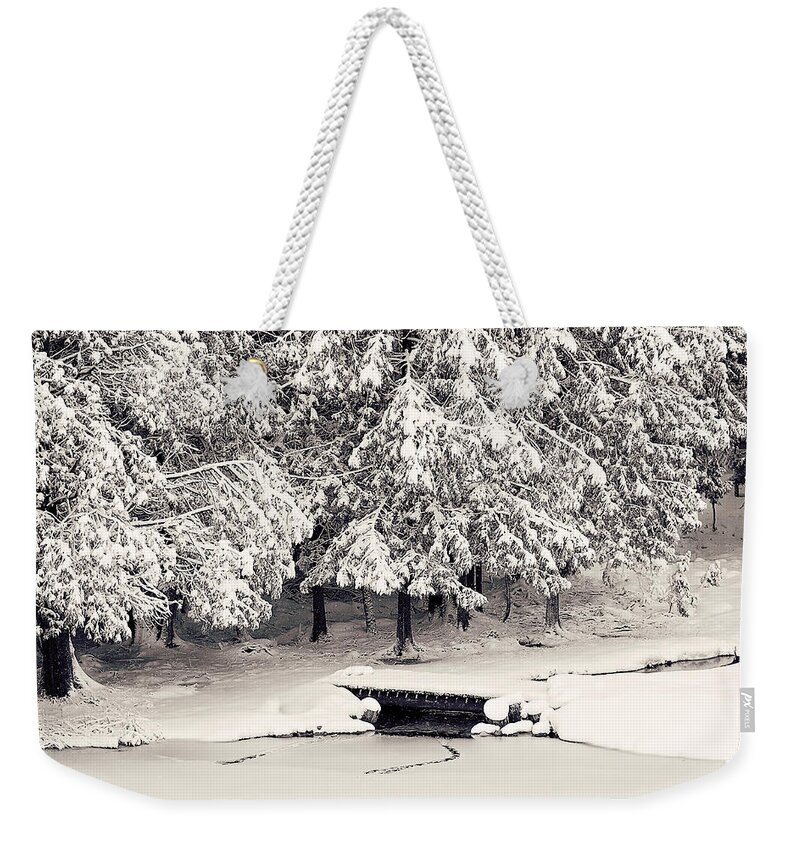 Winter Scenic Print Weekender Tote Bag featuring the photograph Winter Scene Black and White Print by Gwen Gibson