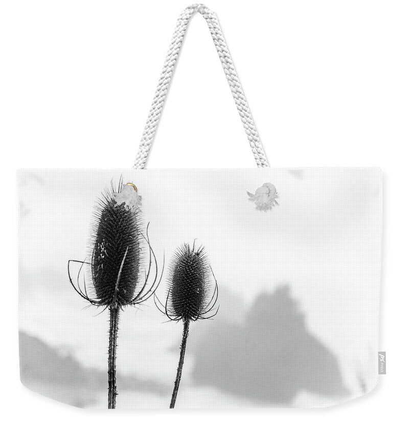 Seeds Weekender Tote Bag featuring the photograph Winter Seed Pods by Misty Tienken