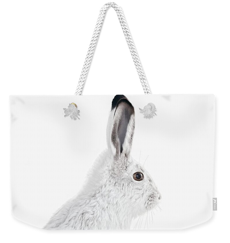 Snowshoe Hare Weekender Tote Bag featuring the photograph Winter Snowshoe Hare by Jennie Marie Schell