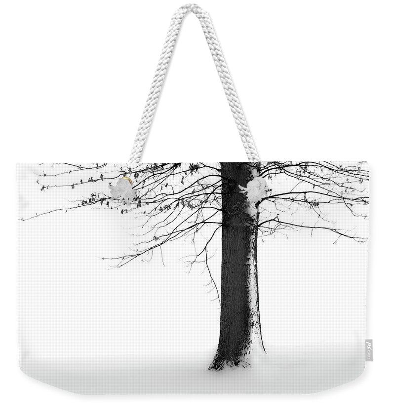Winter Weekender Tote Bag featuring the photograph Winter Solitude by Marla Craven