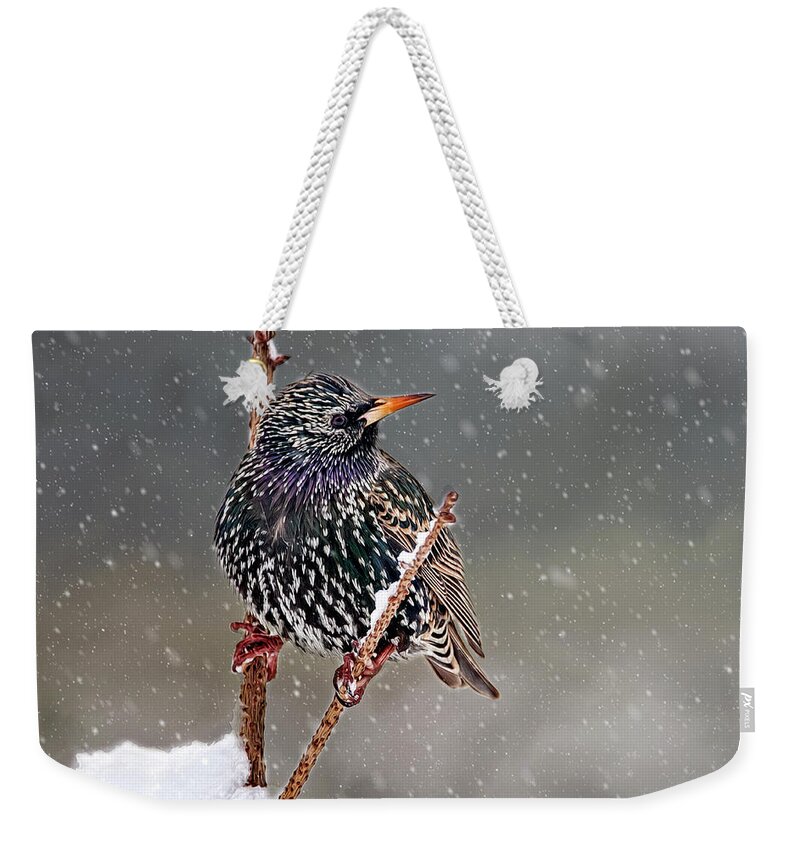 Starling Weekender Tote Bag featuring the photograph Winter Starling 2 by Cathy Kovarik