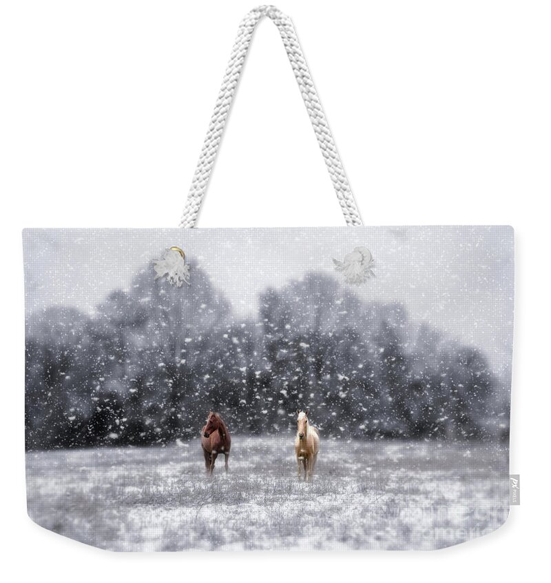 Winter Storm Weekender Tote Bag featuring the photograph Winter Storm by Darren Fisher