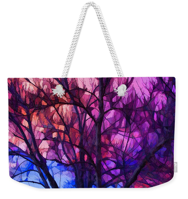 Sunset Weekender Tote Bag featuring the photograph Winter Sunset by Lorraine Baum