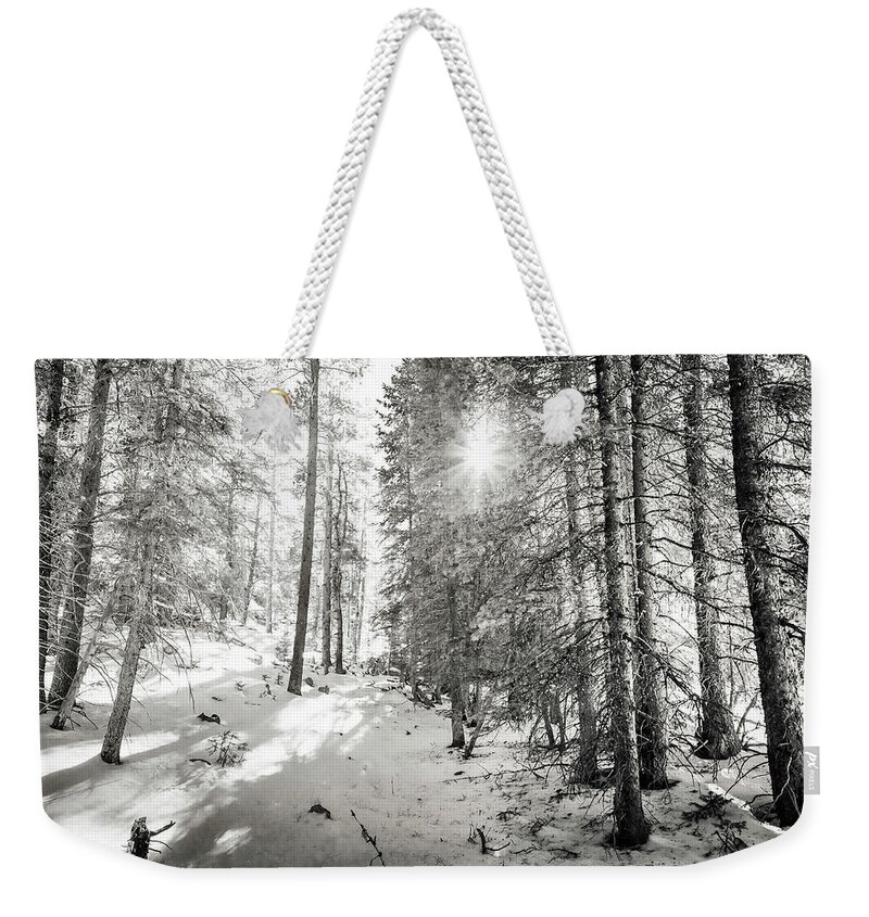 Backcountry Weekender Tote Bag featuring the photograph Winter Sunshine Forest Shades Of Gray by James BO Insogna