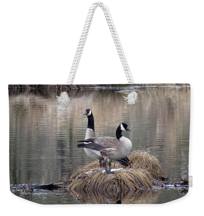 Pond Reflection Weekender Tote Bag featuring the photograph Winter Surprise by I'ina Van Lawick
