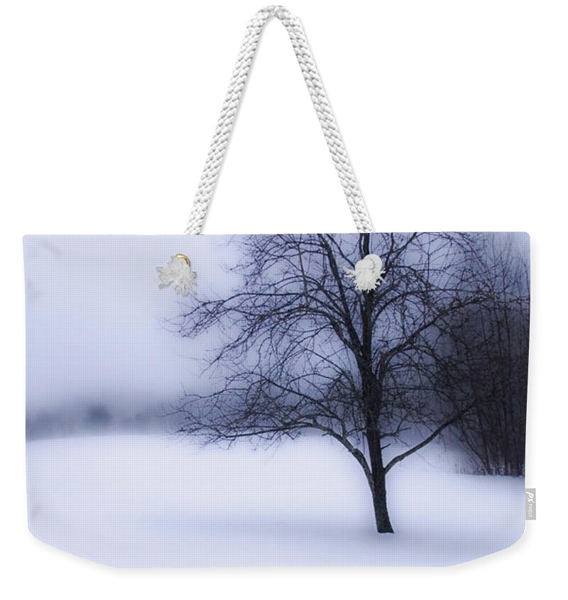 Vermont Weekender Tote Bag featuring the photograph Winter by Tammy Wetzel