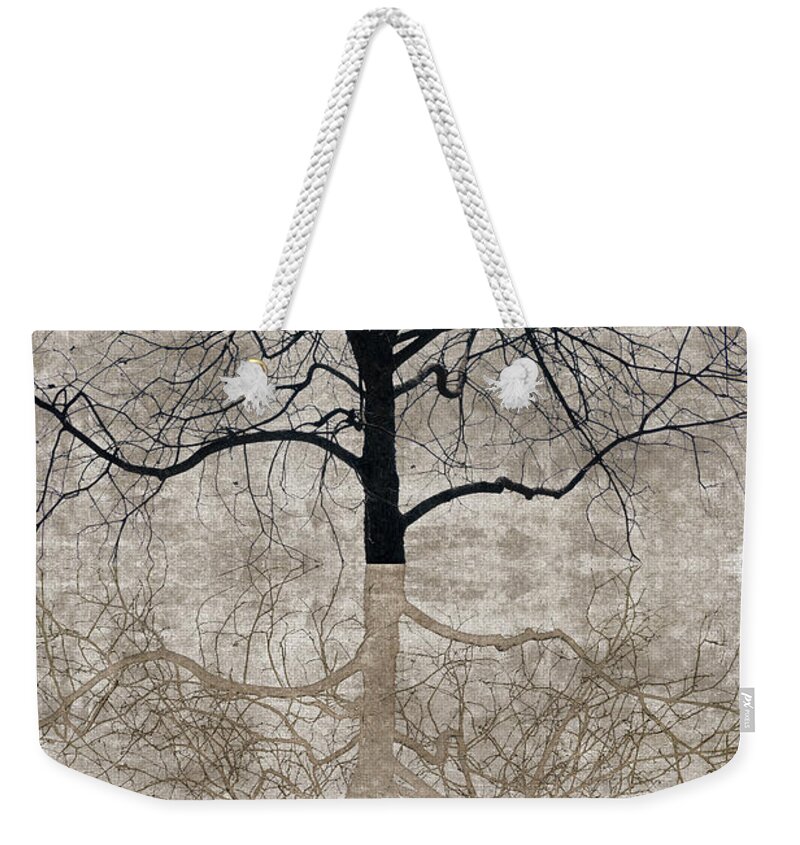 Tree Weekender Tote Bag featuring the photograph Winter Tree by Carol Leigh